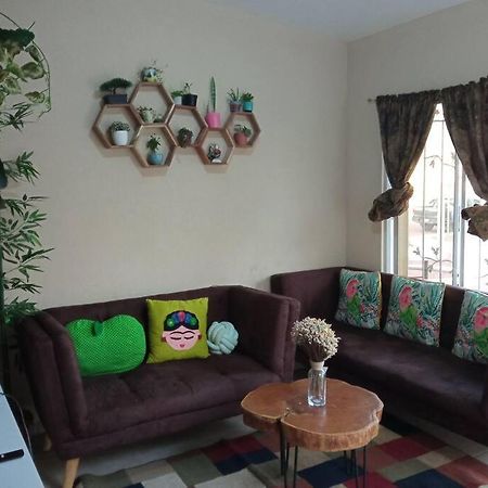 La Casa Del Pinito Apartment Sonsonate Bagian luar foto