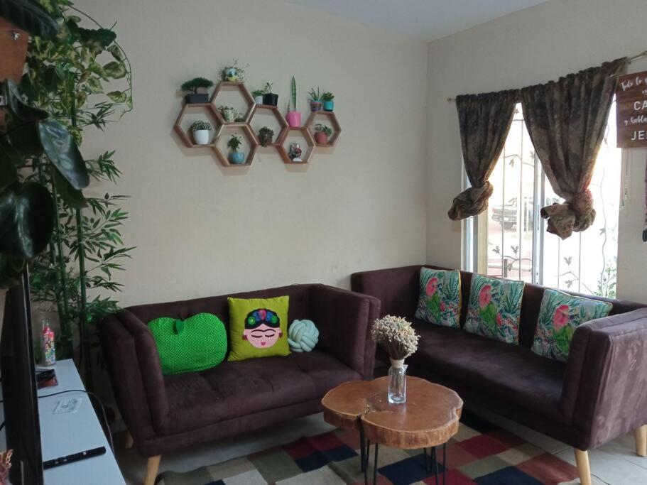 La Casa Del Pinito Apartment Sonsonate Bagian luar foto