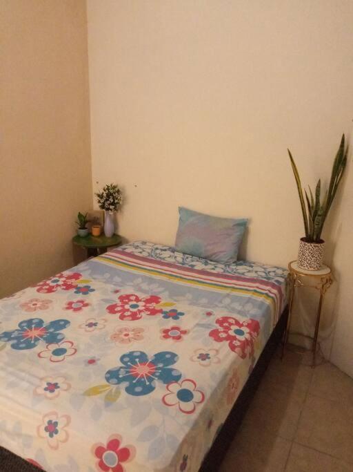La Casa Del Pinito Apartment Sonsonate Bagian luar foto