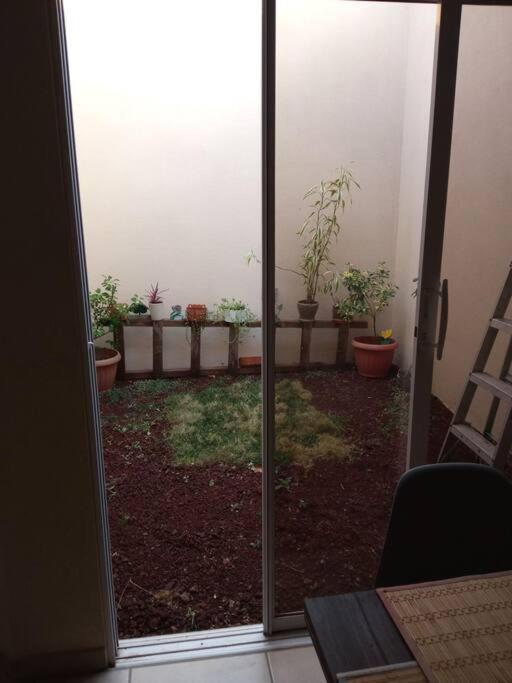 La Casa Del Pinito Apartment Sonsonate Bagian luar foto